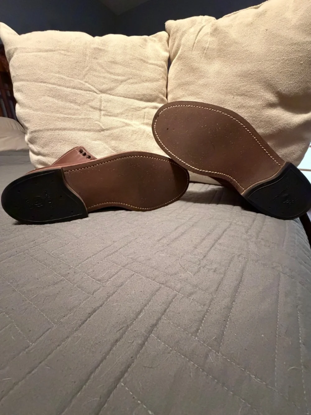 Alden Moc Toe Indie Boots 🥾